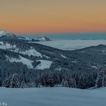 Samoens 1600 Studio Au Pied Des Pistes Экстерьер фото